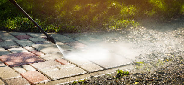 Best Warehouse Cleaning  in La Joya, TX